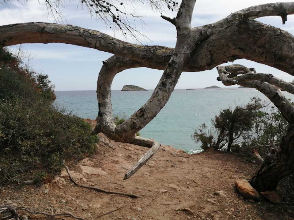 Ausblick Moon Dreams Coral Beach