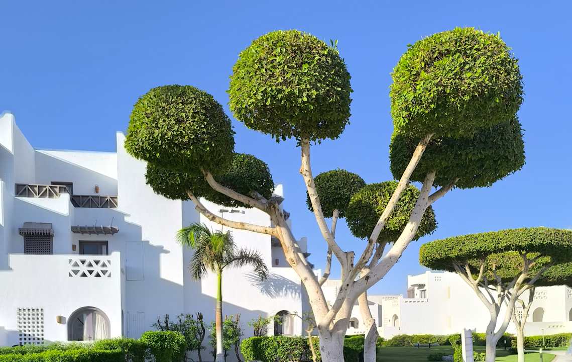 Außenansicht Hotel Mercure Hurghada