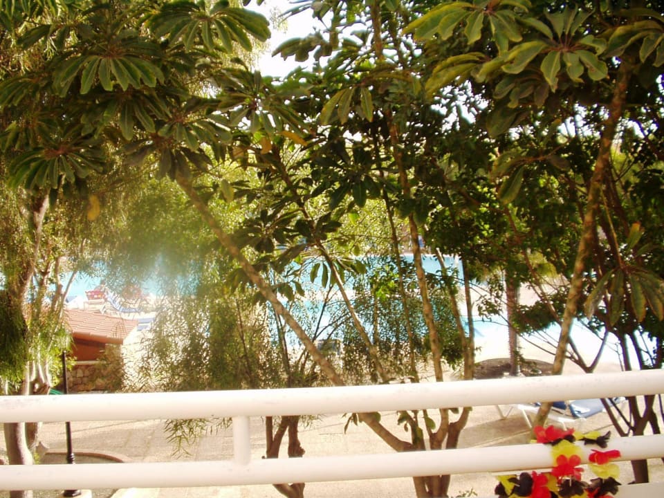 Zimmeraussicht Playa Park Zensation