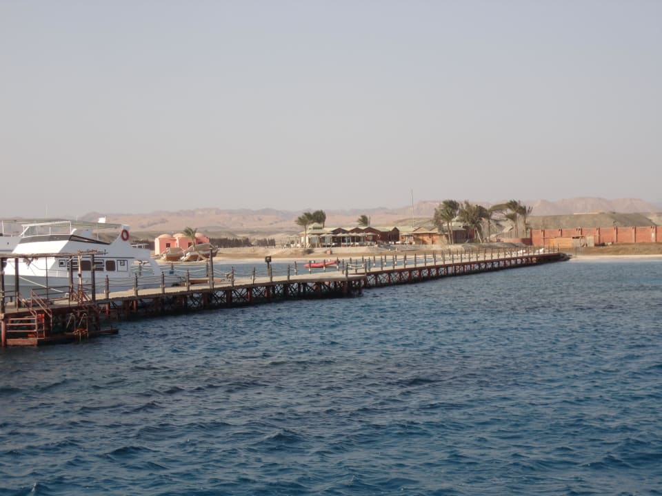 Marina mit Tauchbasis Shams Alam Beach Resort