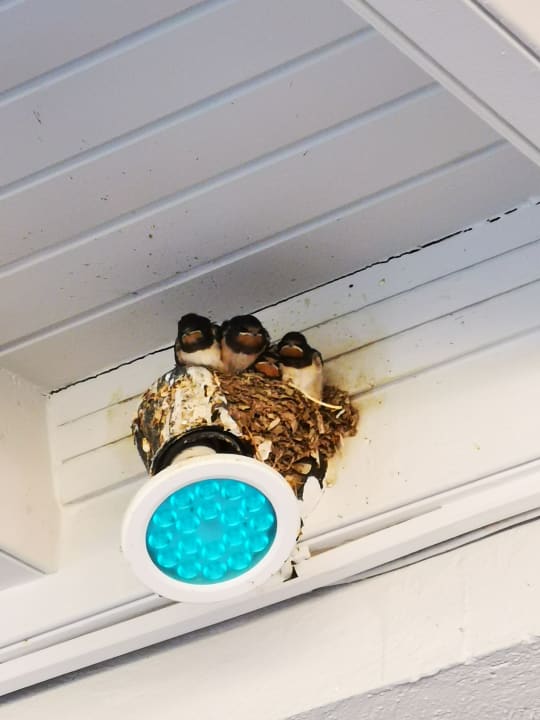 Sonstiges Hotel Albatros