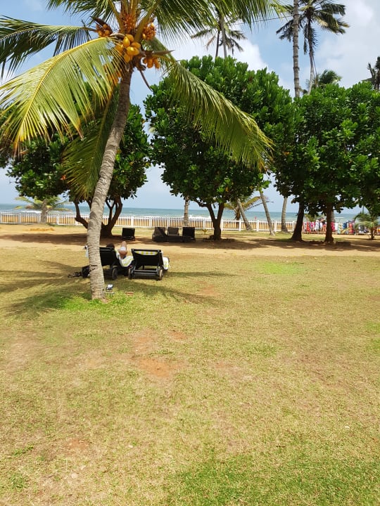 Gartenanlage Turyaa Kalutara