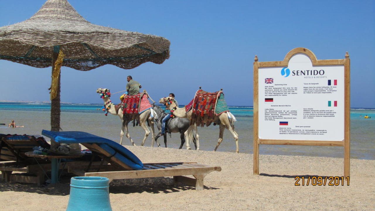 Корабли пустыни Swisstouch Oriental Resort Marsa Alam