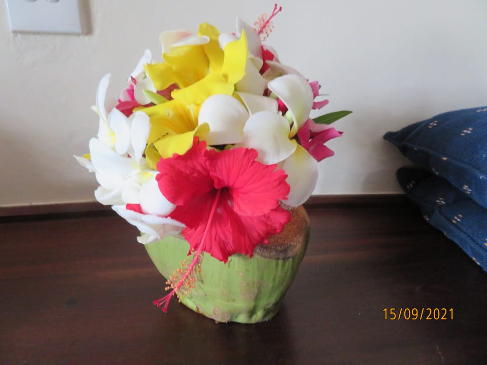 Sonstiges Neptune Paradise Beach Resort & Spa