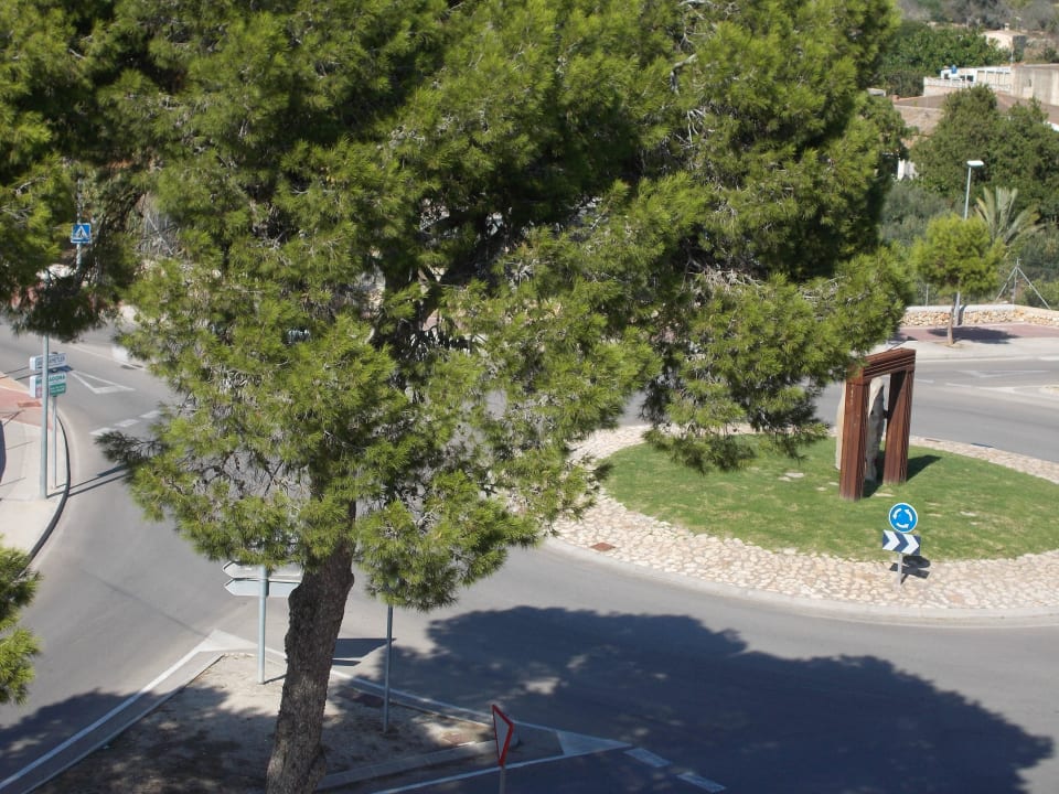 Kreisverkehr vorm Hotel Millor Sol