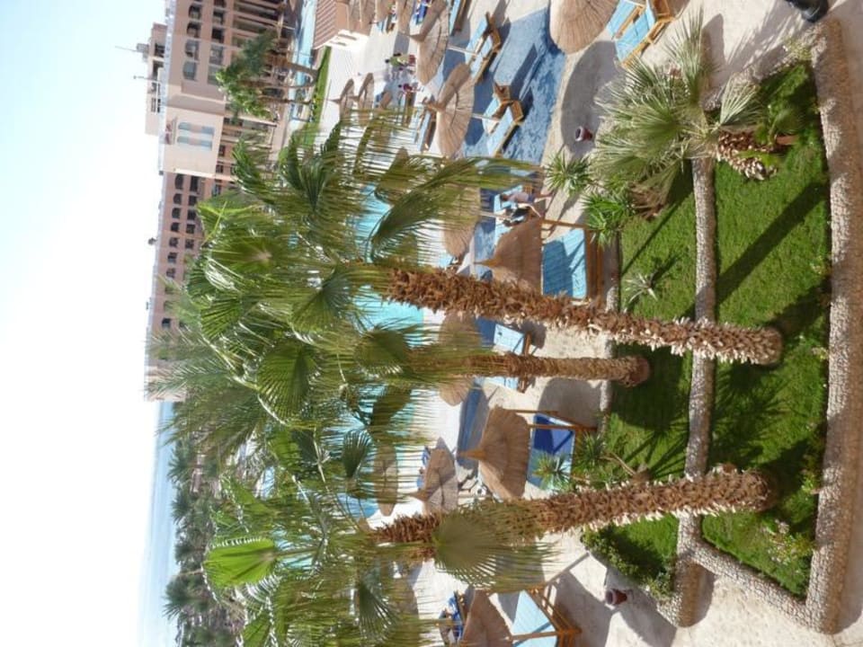 Widok z pokoju Beach Albatros Resort