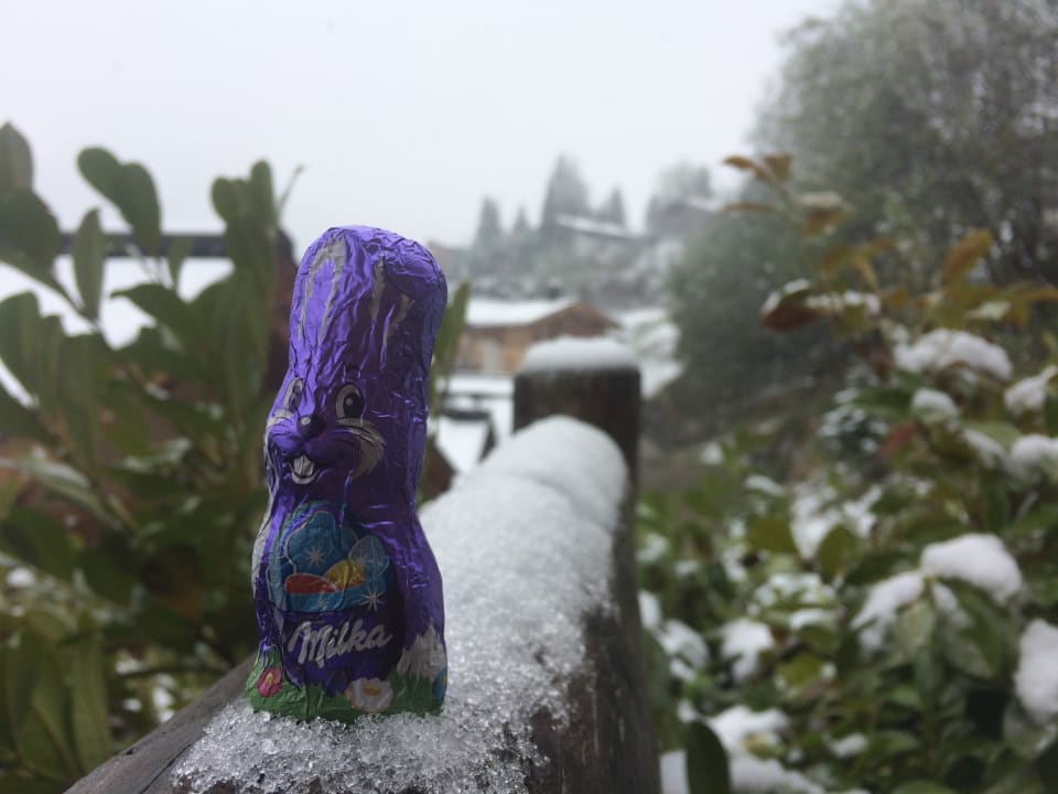 Ausblick Hüttendorf Maria Alm