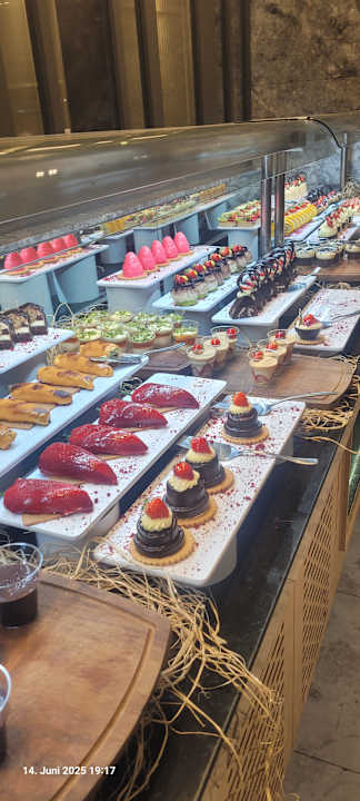 Gastro Seashell Vega