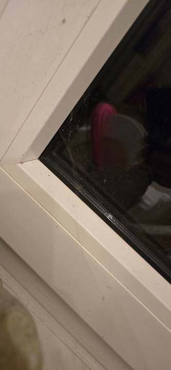 Zimmer Hof Neu Domigk