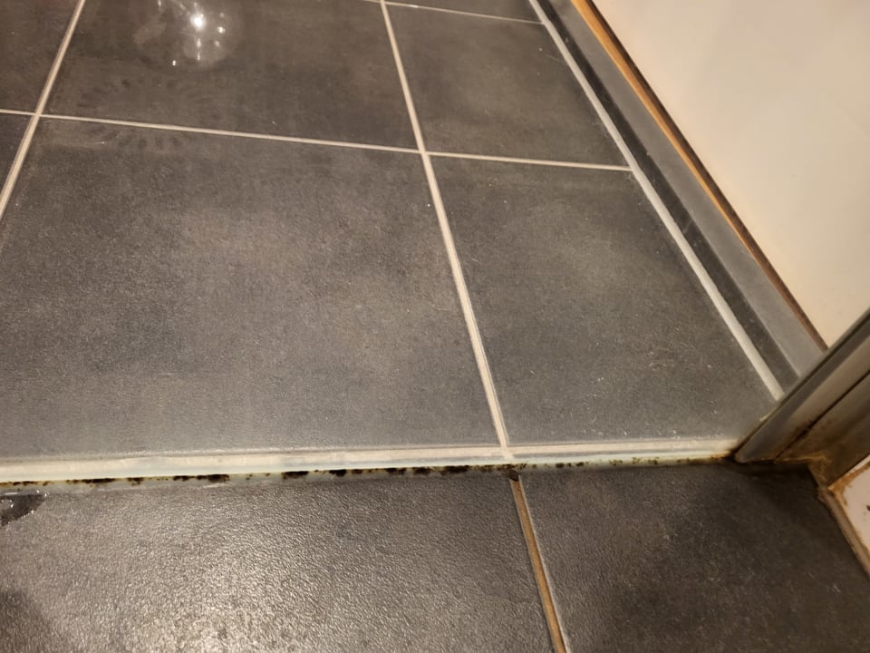 Zimmer Ferienpark Hof van Saksen