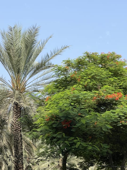 Gartenanlage Fujairah Rotana Resort & Spa