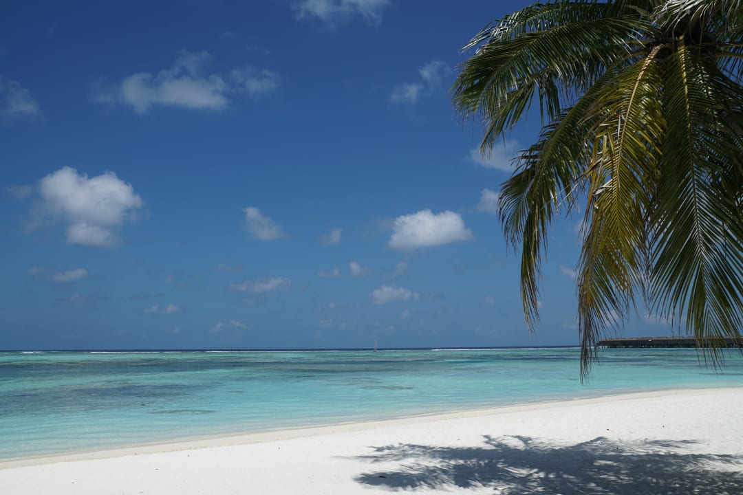 Strand Meeru Maldives Resort Island
