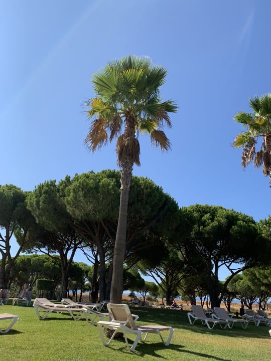 Gartenanlage AP Adriana Beach Resort