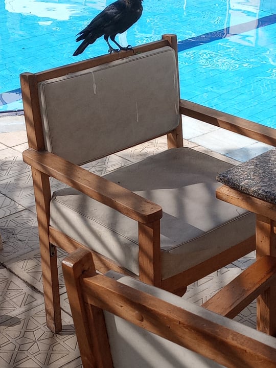 Gastro Regina Resort and Aqua Park Hurghada