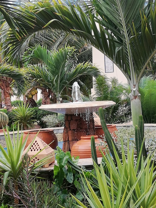 Gartenanlage Hotel Riu Touareg