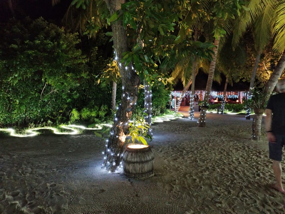 Gartenanlage Veligandu Maldives Resort Island