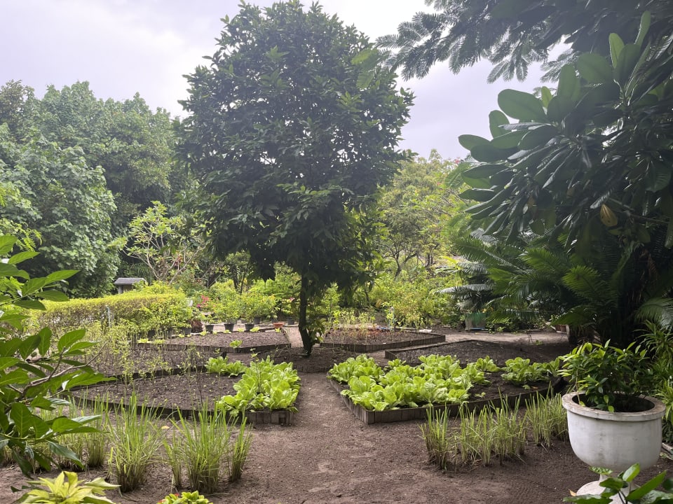 Gartenanlage Reethi Beach Resort