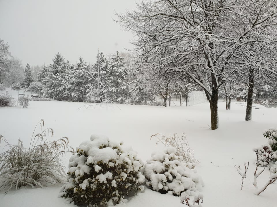 Gartenanlage Genussdorf Gmachl - Hotel & Spa