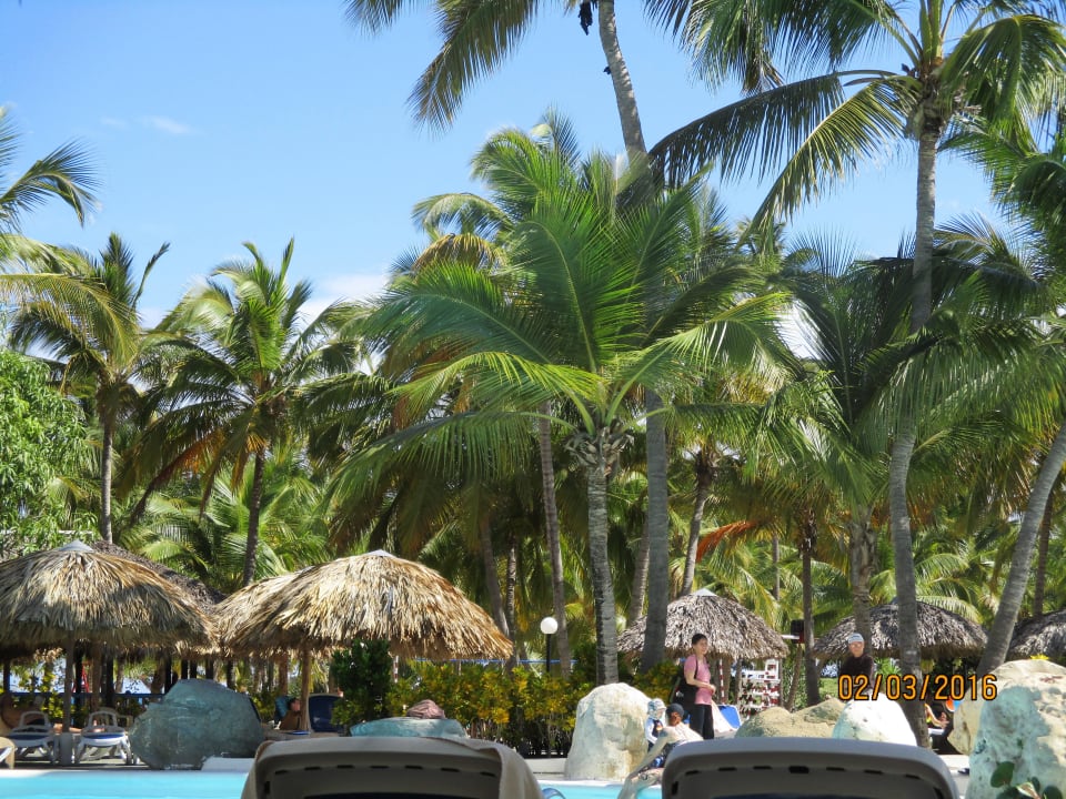 Am pool Playabachata Hotel