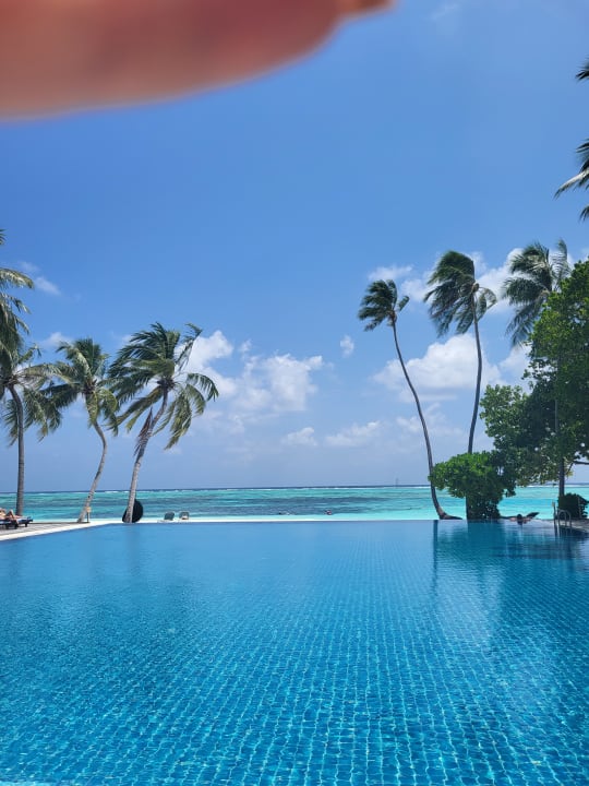 Pool Meeru Maldives Resort Island