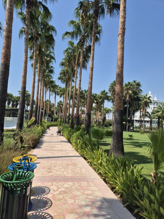Gartenanlage Royal Atlantis Beach Hotel