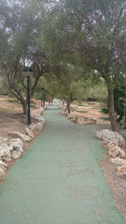 Gartenanlage Hotel Club Cala Romani