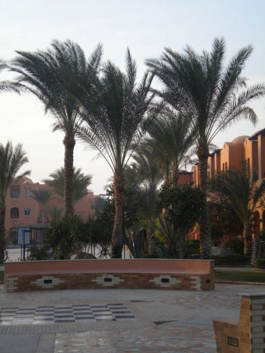 Gartenanlage Jaz Makadi Oasis Resort