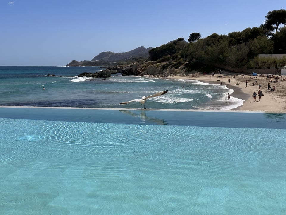 Pool Son Moll Sentits Hotel & Spa