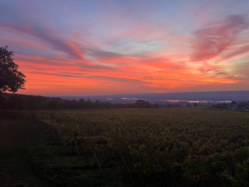 Ausblick Relais & Châteaux Hotel Burg Schwarzenstein