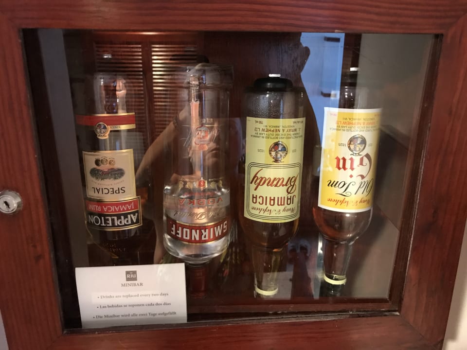 Gastro Hotel Riu Negril