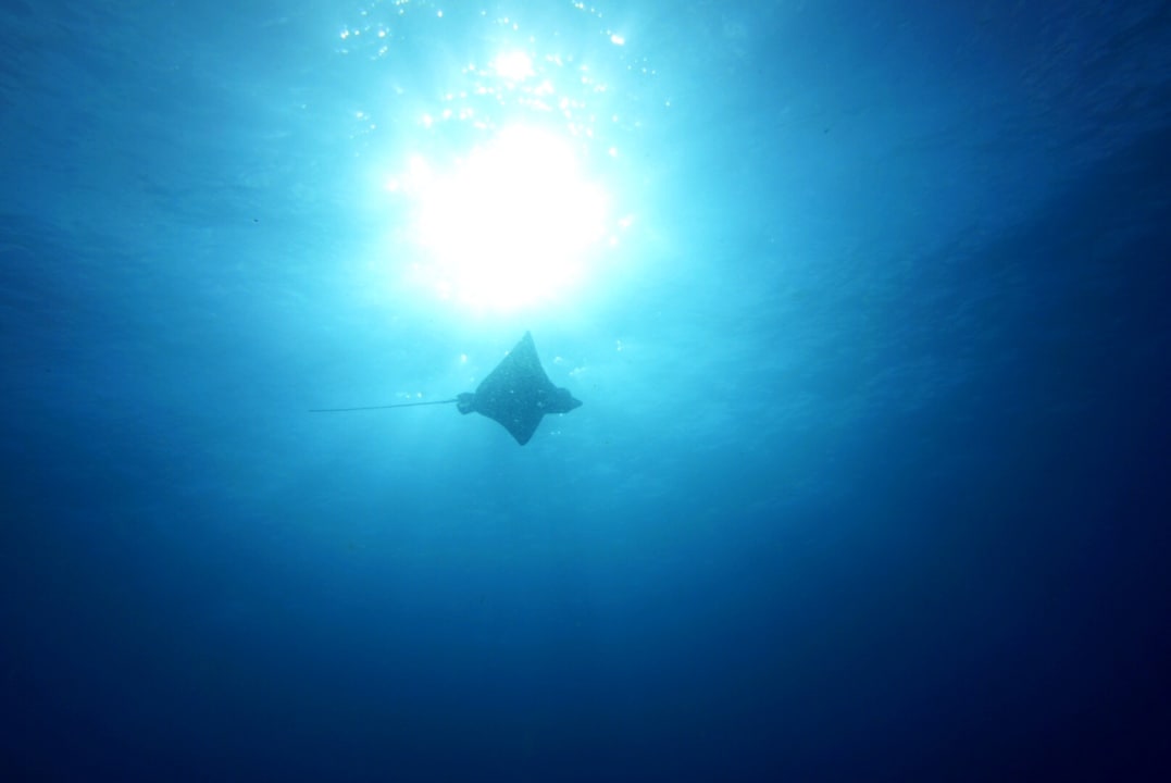 Sport & Freizeit NH Collection Maldives Havodda Resort