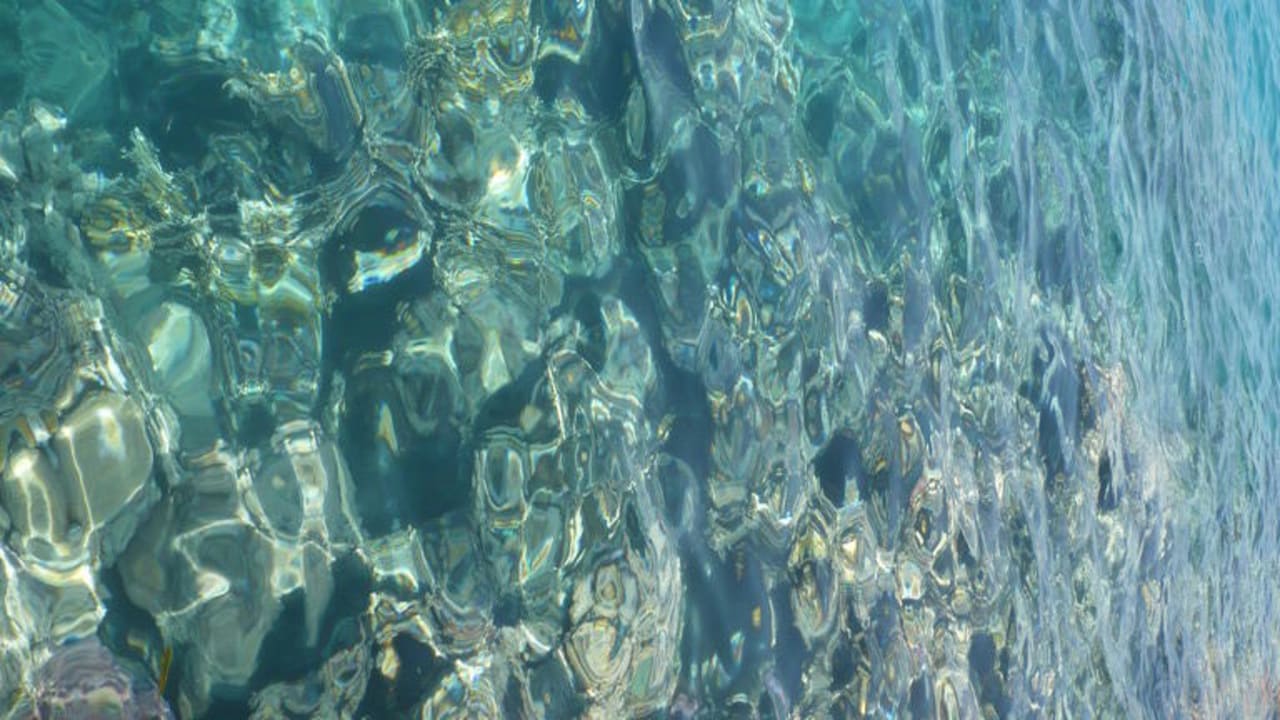 Unterwasserwelt Stella Beach Resort & Spa Makadi Bay