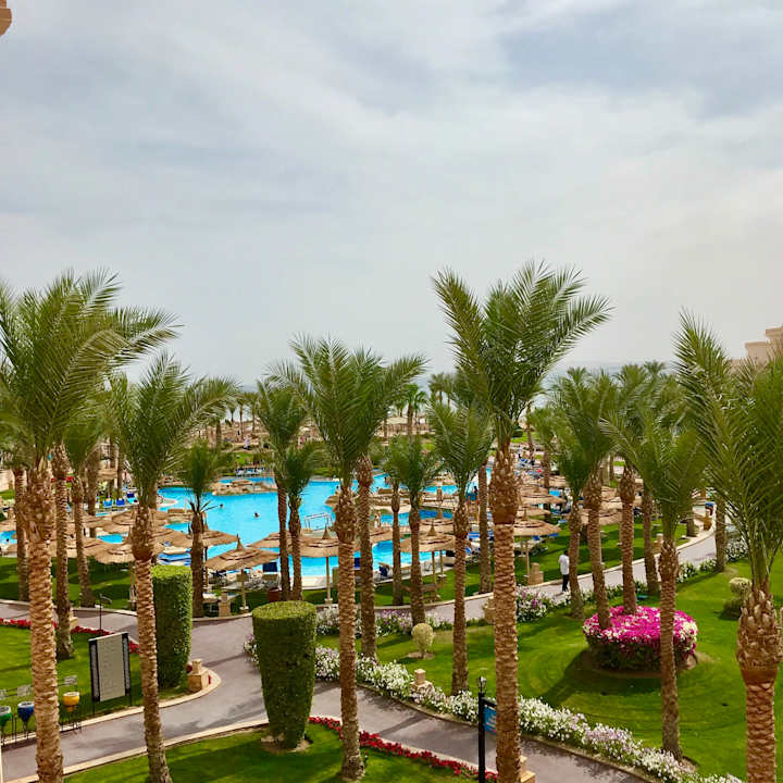 Ausblick Pickalbatros Palace Resort