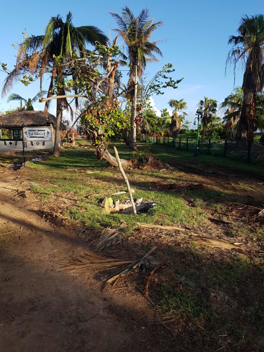 Gartenanlage Hotel Brisas del Caribe