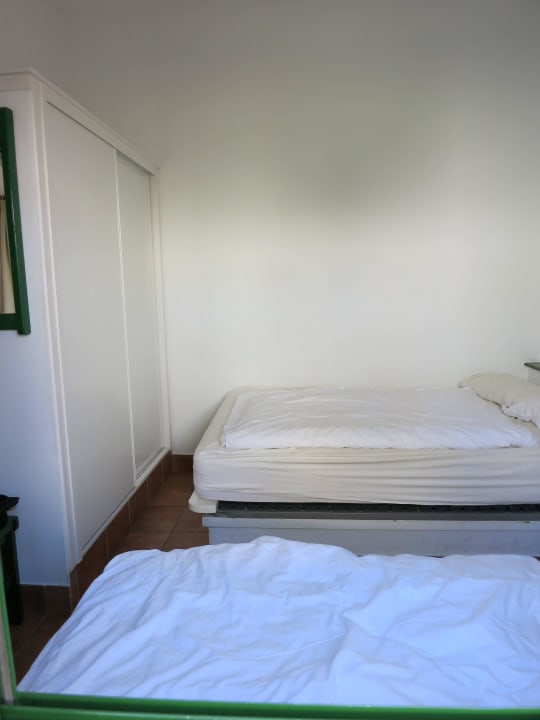 Zimmer Canary Garden Club