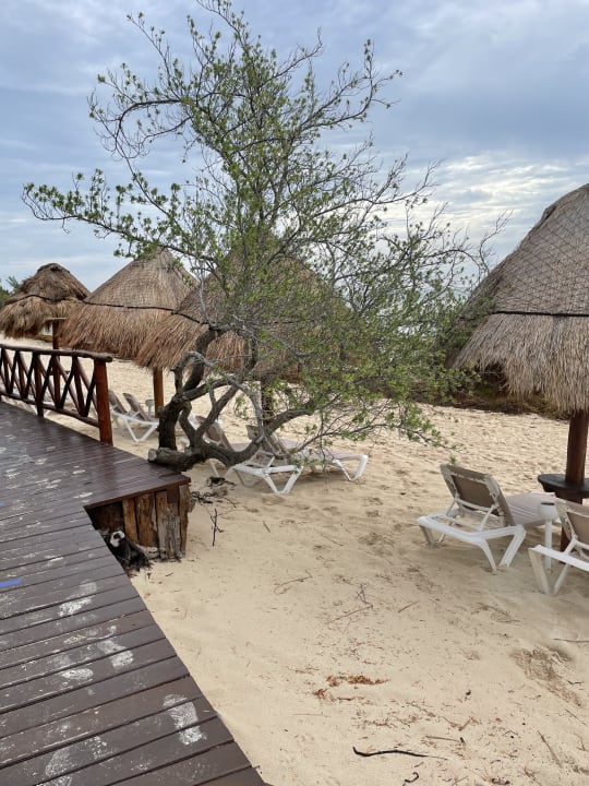 Strand Platinum Yucatan Princess All Suites & Spa Resort - Adults only