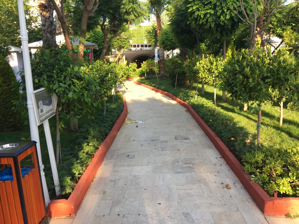 Gartenanlage Hotel Delphin Imperial