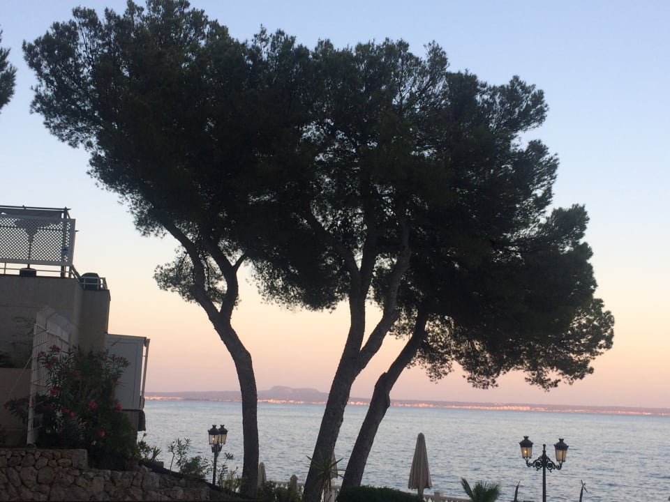 Ausblick Europe Playa Marina - Adults Only