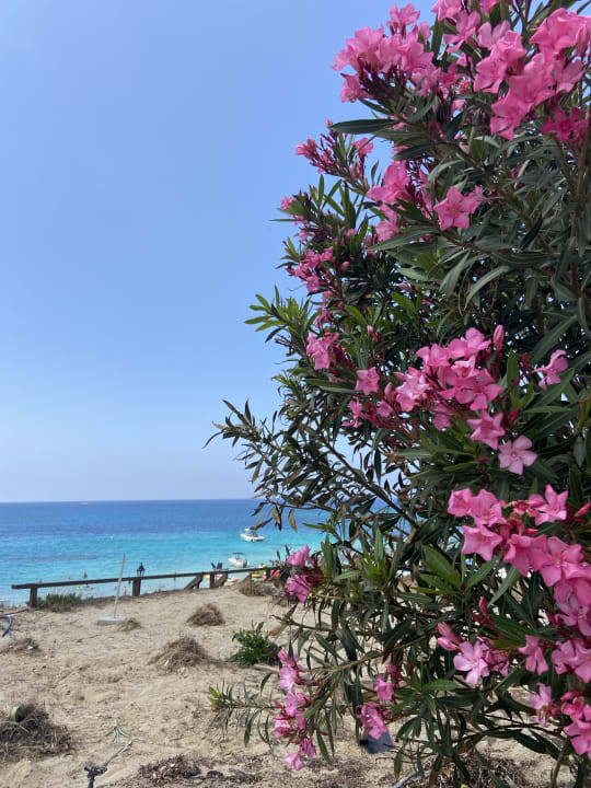 Sonstiges Napa Mermaid Hotel & Suites