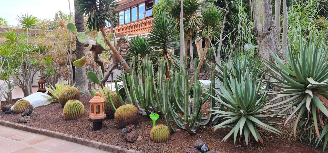 Gartenanlage Hotel Parque Tropical