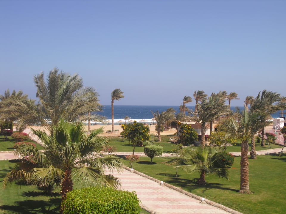 Hotelgarten und dann Meerblick Three Corners Sea Beach Resort