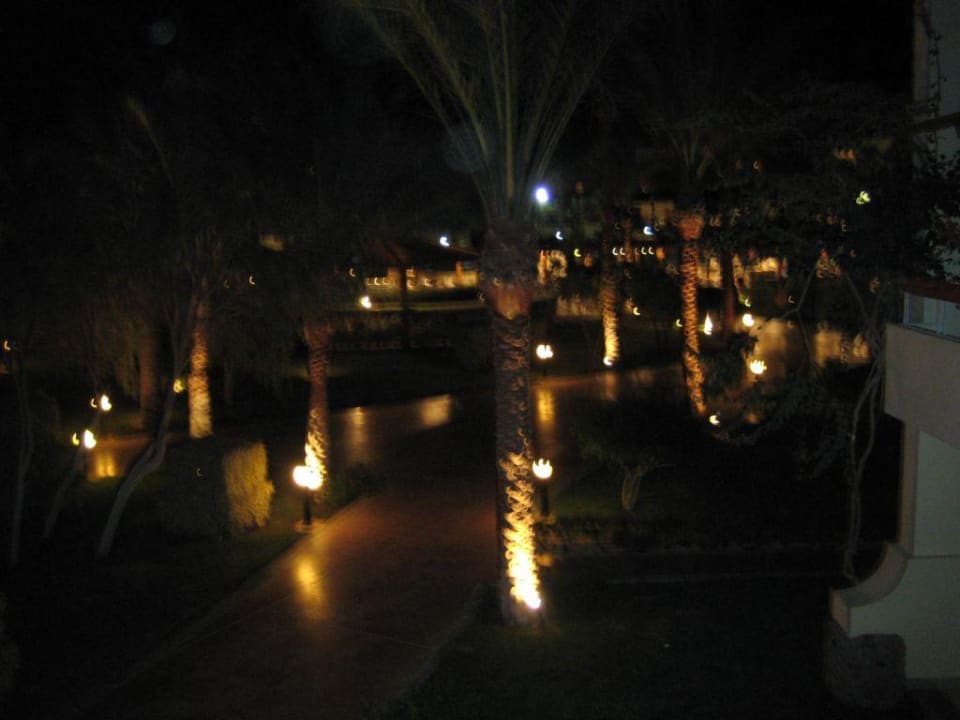 Ausblick vom Zimmer am Abend Palm Beach Resort
