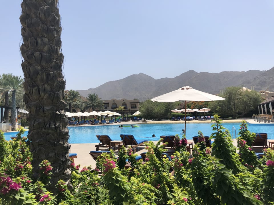 Pool Miramar Al Aqah Beach Resort