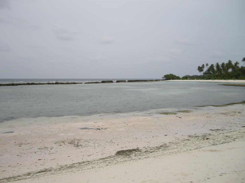 Strand Beach Bungalows Kuredu Kuredu Island Resort & Spa