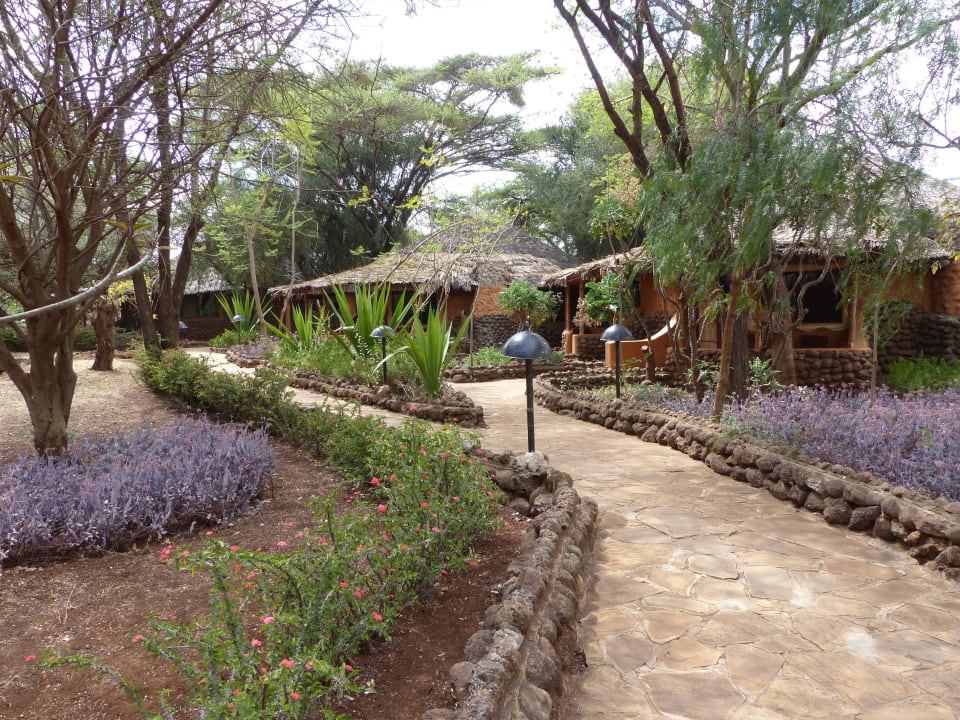 Wege zu den Zimmern Hotel Amboseli Sopa Lodge