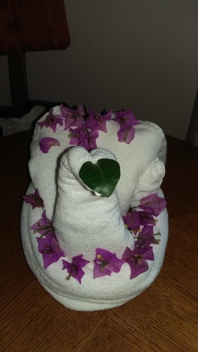 Schwan gerichtet von Aishe Sunis Elita Beach Resort & Spa