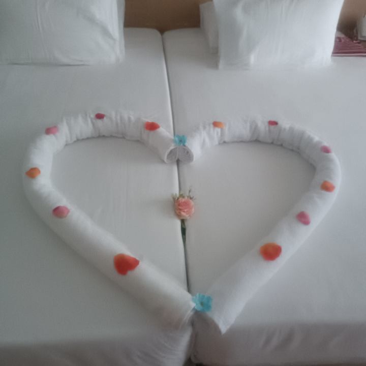 Zimmer JAZ Elite Asteria