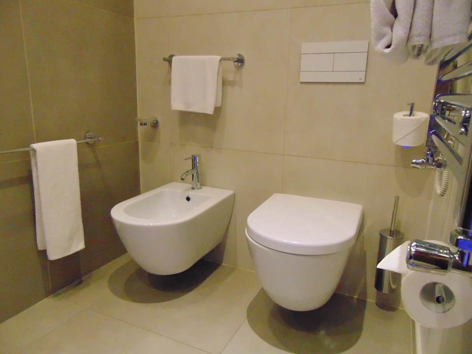 Zimmer Mercure Almaty City Center