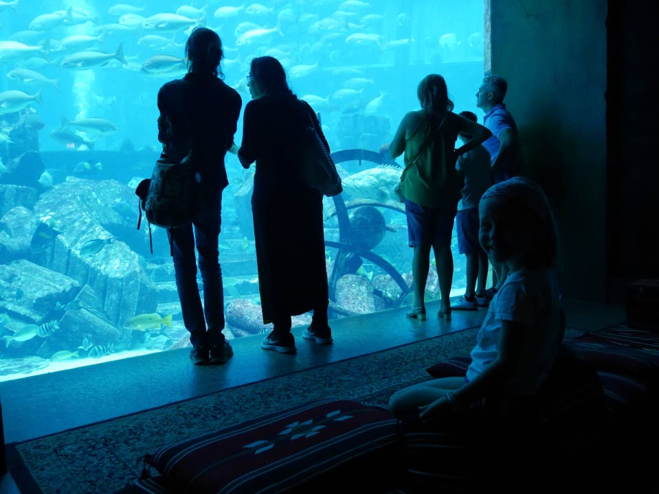 Das Aquarium Atlantis, The Palm