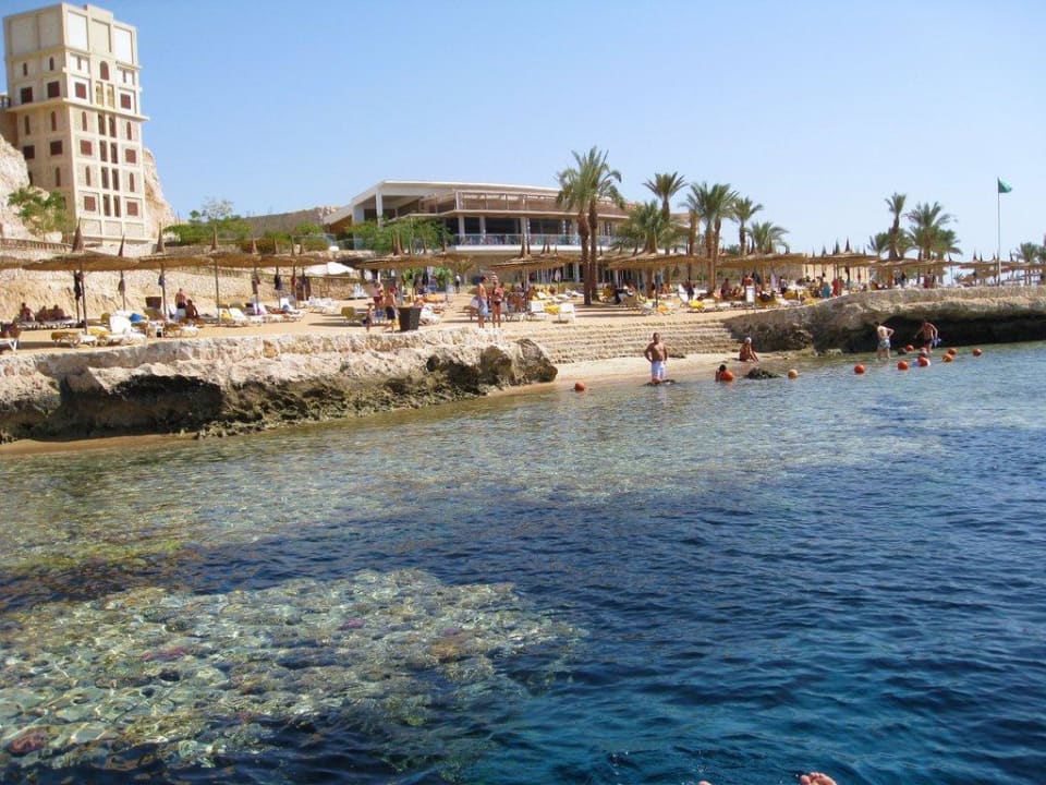 Blick vom Steg Reef Oasis Blue Bay Resort